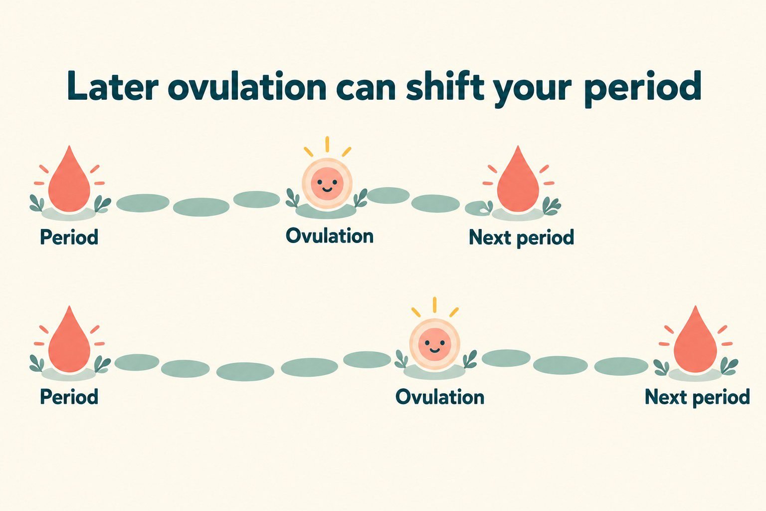 Two simple cycle paths showing how later ovulation can shift the next period later.